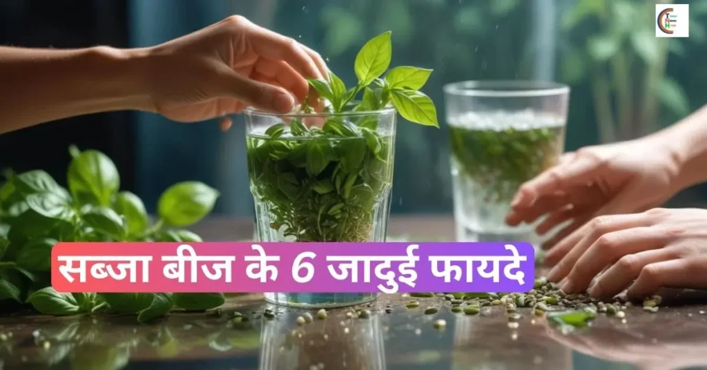 सब्जा बीज से वजन कैसे घटाएं,

सब्जा बीज और तुलसी बीज में अंतर,

सब्जा बीज के स्वास्थ्य लाभ,

सब्जा बीज से त्वचा की चमक,

सब्जा बीज से बाल झड़ना रोकें,

सब्जा बीज का इस्तेमाल कब करें,

सब्जा बीज खाने का सही समय,

सब्जा बीज पानी में भिगोकर फायदे,

सब्जा बीज और डाइट प्लान,
