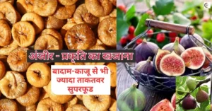 Dried figs, also known as anjeer, a healthy snack, ANJEER, anjeer ke fayde, fayde anjeer