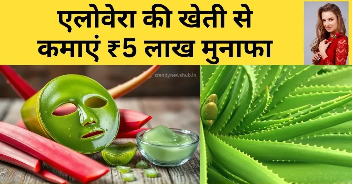 एलोवेरा की खेती, एलोवेरा की खेती की जानकारी, aloe vera ki kheti, aloe vera ki kheti kahan hoti hai, aloe vera ki kheti karne ka tarika, alovera ki kheti kitne din ki hoti hai, aloe vera ki kheti kaise kare, aloe vera ki kheti se kamai, aloevera ki kheti, aloevera ki kheti kaise kare,