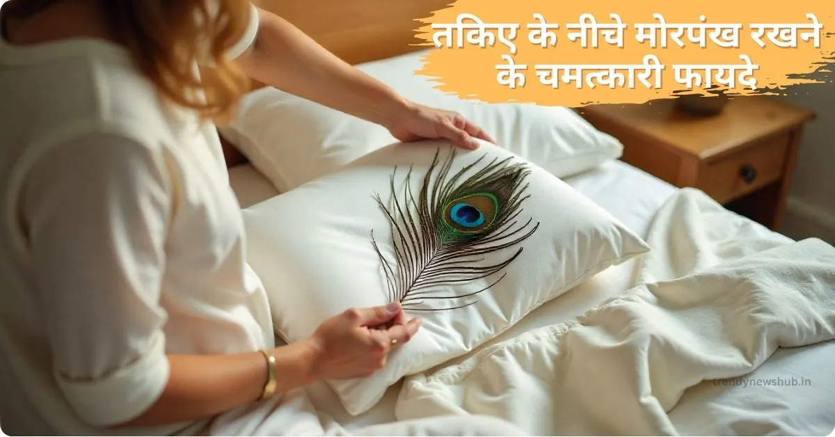 Morapankh Rakhane Ke Fayde, मोर का पंख तकिए के नीचे रखने से क्या होता है? तकिये के नीचे मोरपंख रखने से क्या होता है? Mor Pankh Ke Upay